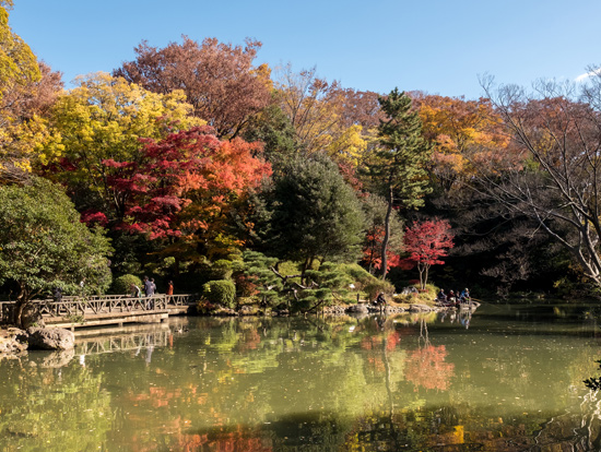 緑豊かで気分爽快！「有栖川宮記念公園」